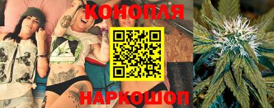spice Кандалакша