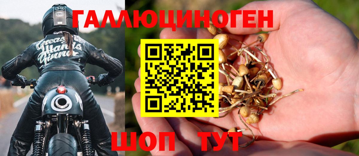 купить  цена  Галлюциногенные грибы мухоморы  Вход с VPN  Кубинка  Галлюциногенные грибы GOLDEN TEACHER 